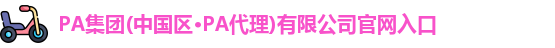 PA集团官网